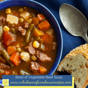 Bowl of Vegetable Beef Soup