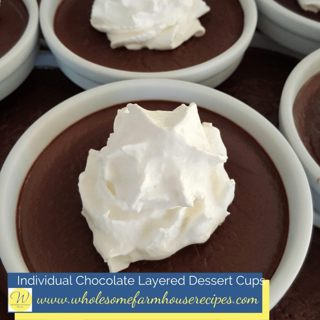 Individual Chocolate Layered Dessert Cups