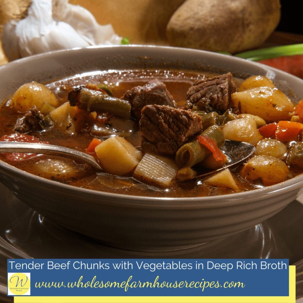 Tender Beef Chunks with Vegetables in Deep Rich Broth