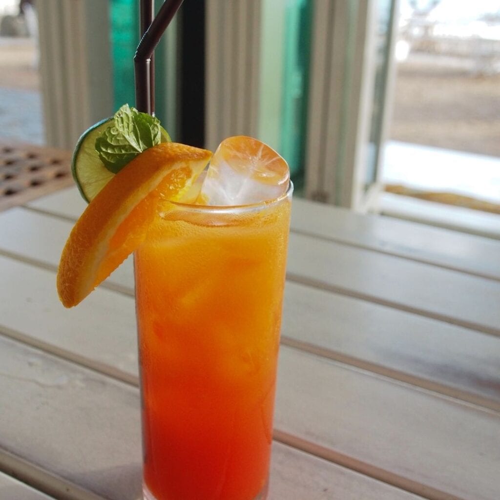 Citrus Mocktail with Ice and Garnish