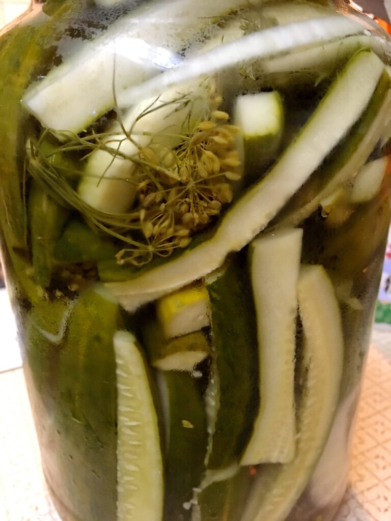 Gallon of Refrigerator Pickle Spears
