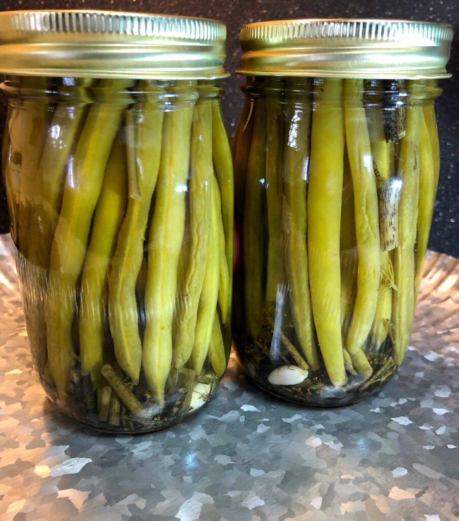 Two Pint Jars of Dilly Beans