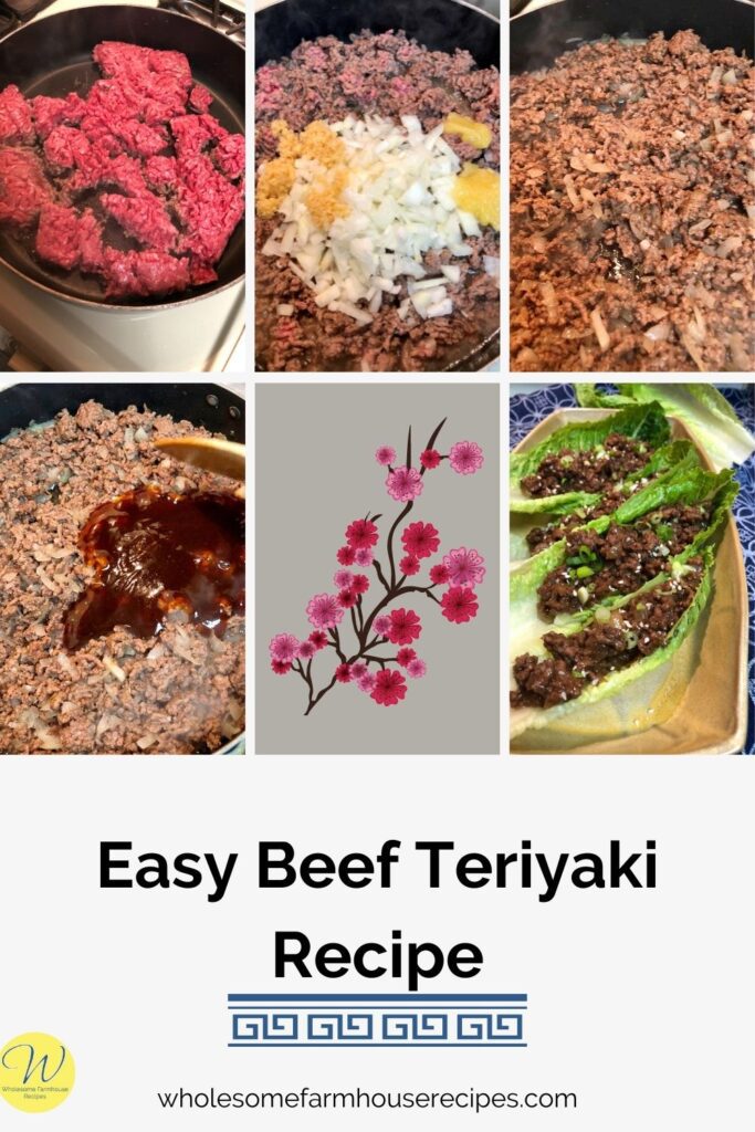 Easy Beef Teriyaki Recipe