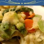 3 ingredient Rolo Pretzel Turtles Candy Recipe