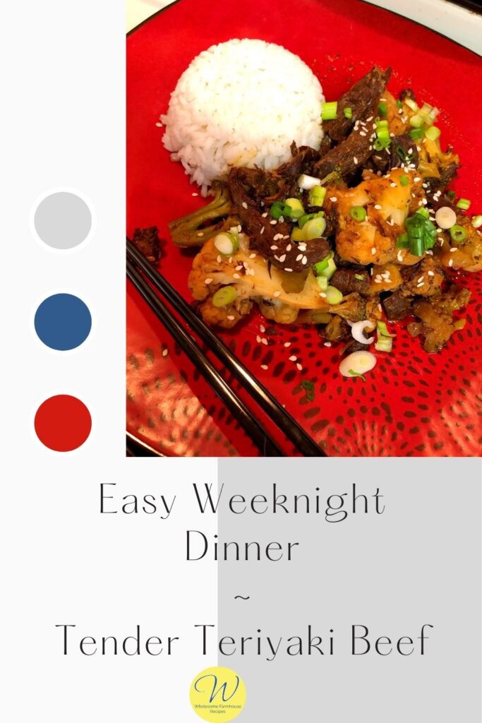 Easy Weeknight Dinner _ Tender Teriyaki Beef