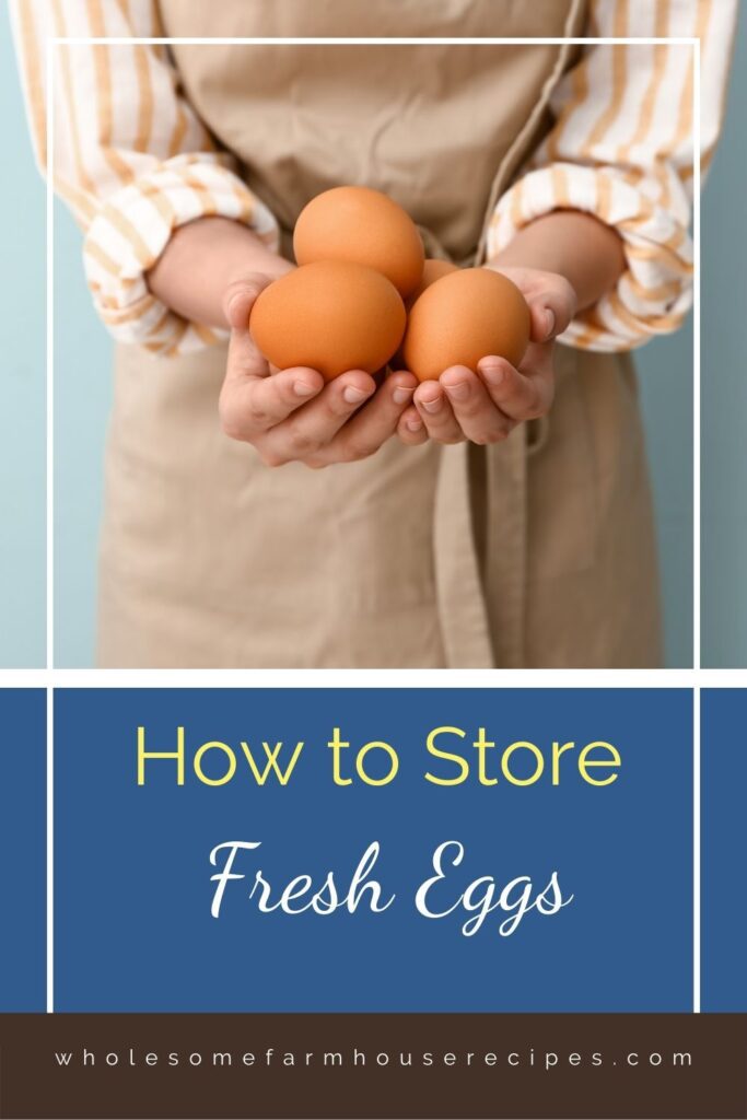 How to Store Fresh Eggs