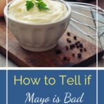 How to Make the Best Homemade Mayonnaise Recipe 