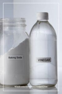 Apple Cider Vinegar vs White Vinegar: What’s the Difference