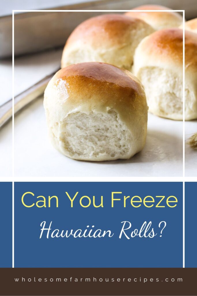 Can You Freeze Hawaiian Rolls