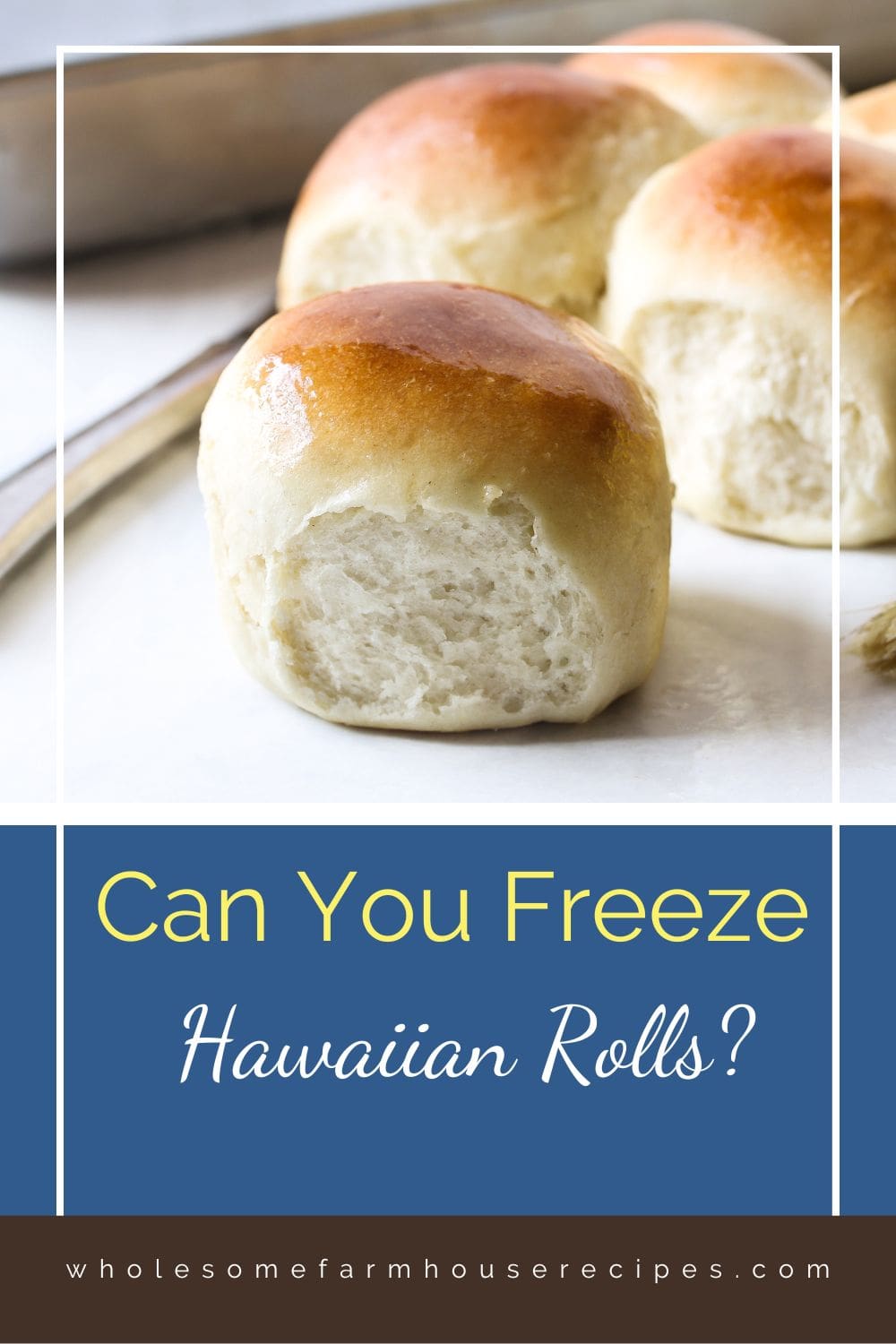 Amazing Can You Freeze Hawaiian Rolls Photo Concept Amazing Can You Freeze Hawaiian Rolls Photo Concept