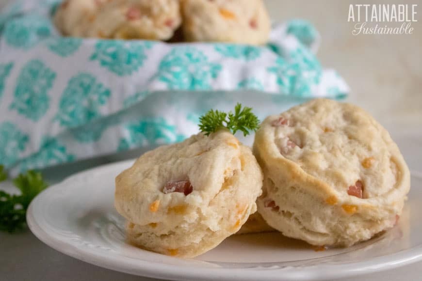 leftover-ham-and-cheese-biscuits