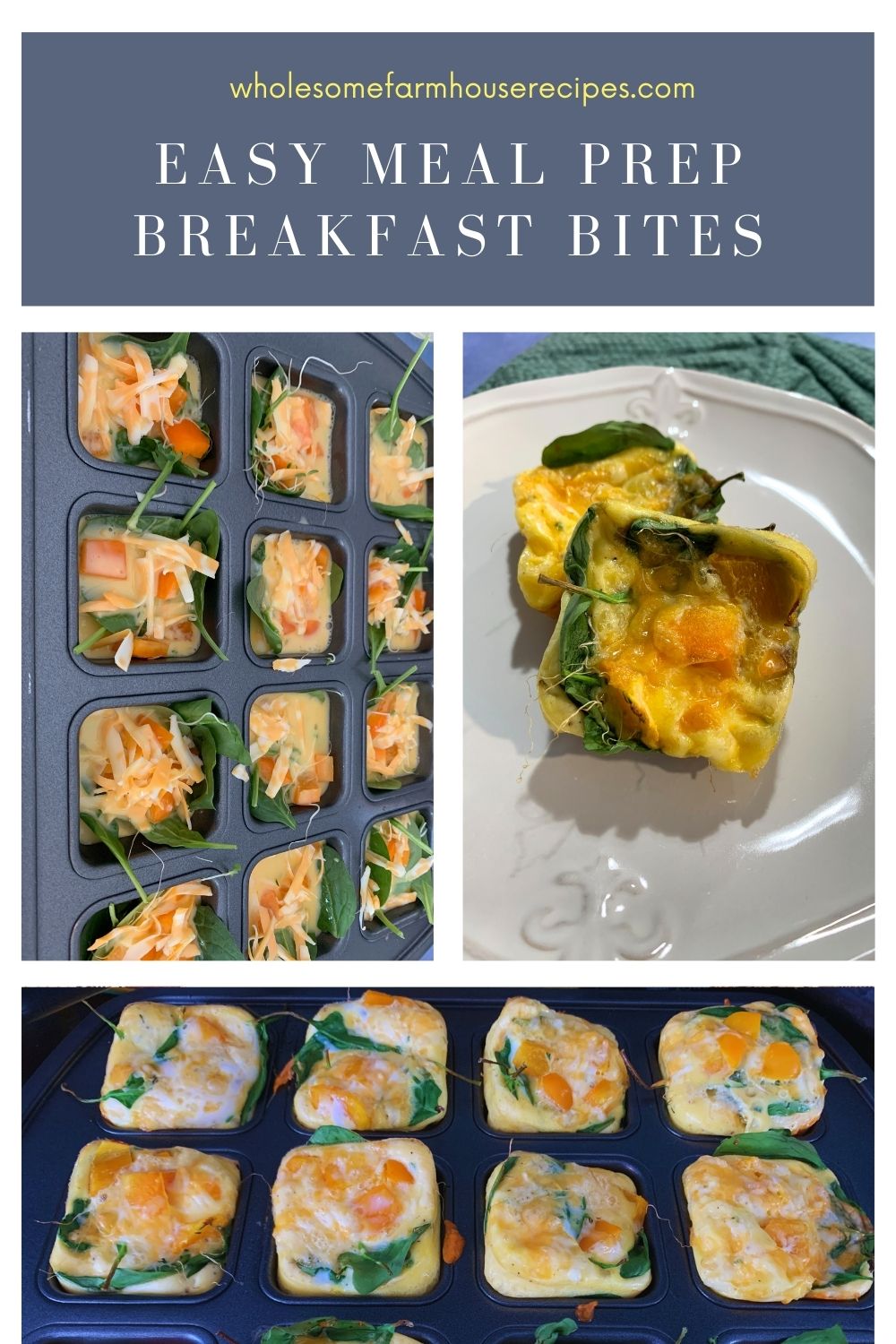 Easy meal Prep Breakfast Bites