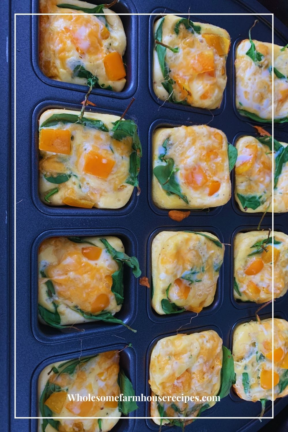 Spinach Egg and Cheese Egg Bites