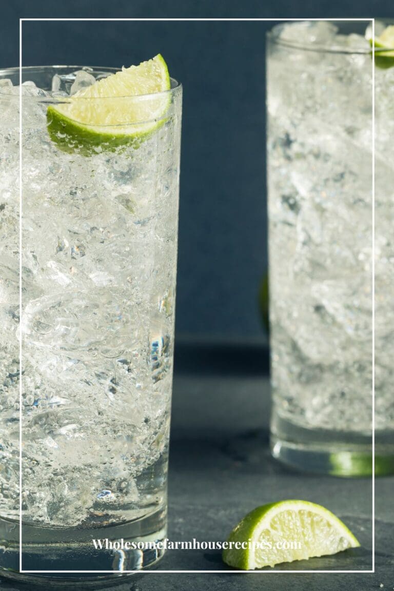 Sparkling water vs Club Soda vs Seltzer vs Tonic Wholesome Farmhouse Recipes