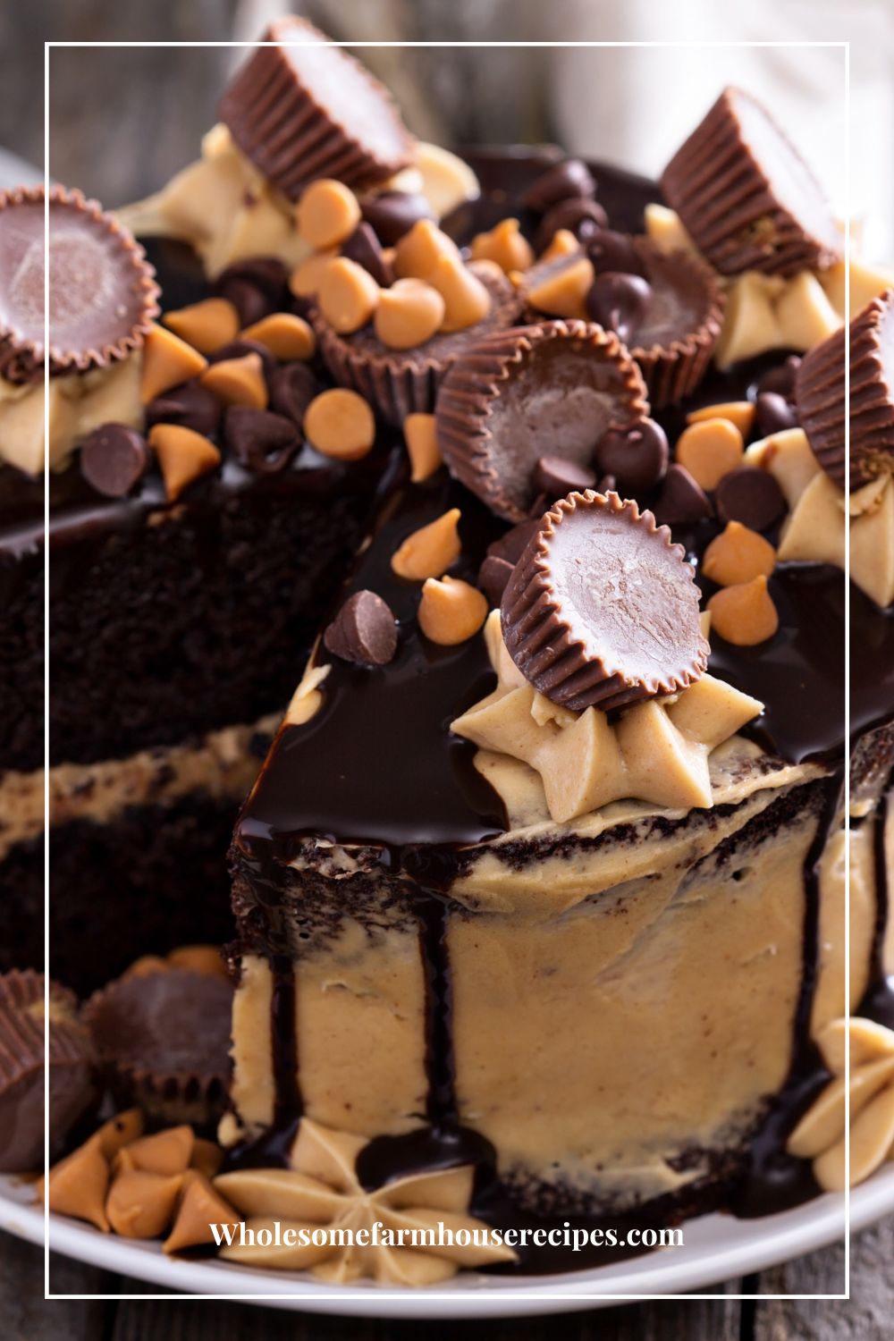 Moist Rich Chocolate Cake with Peanut Butter Frosting and Lots of toppings