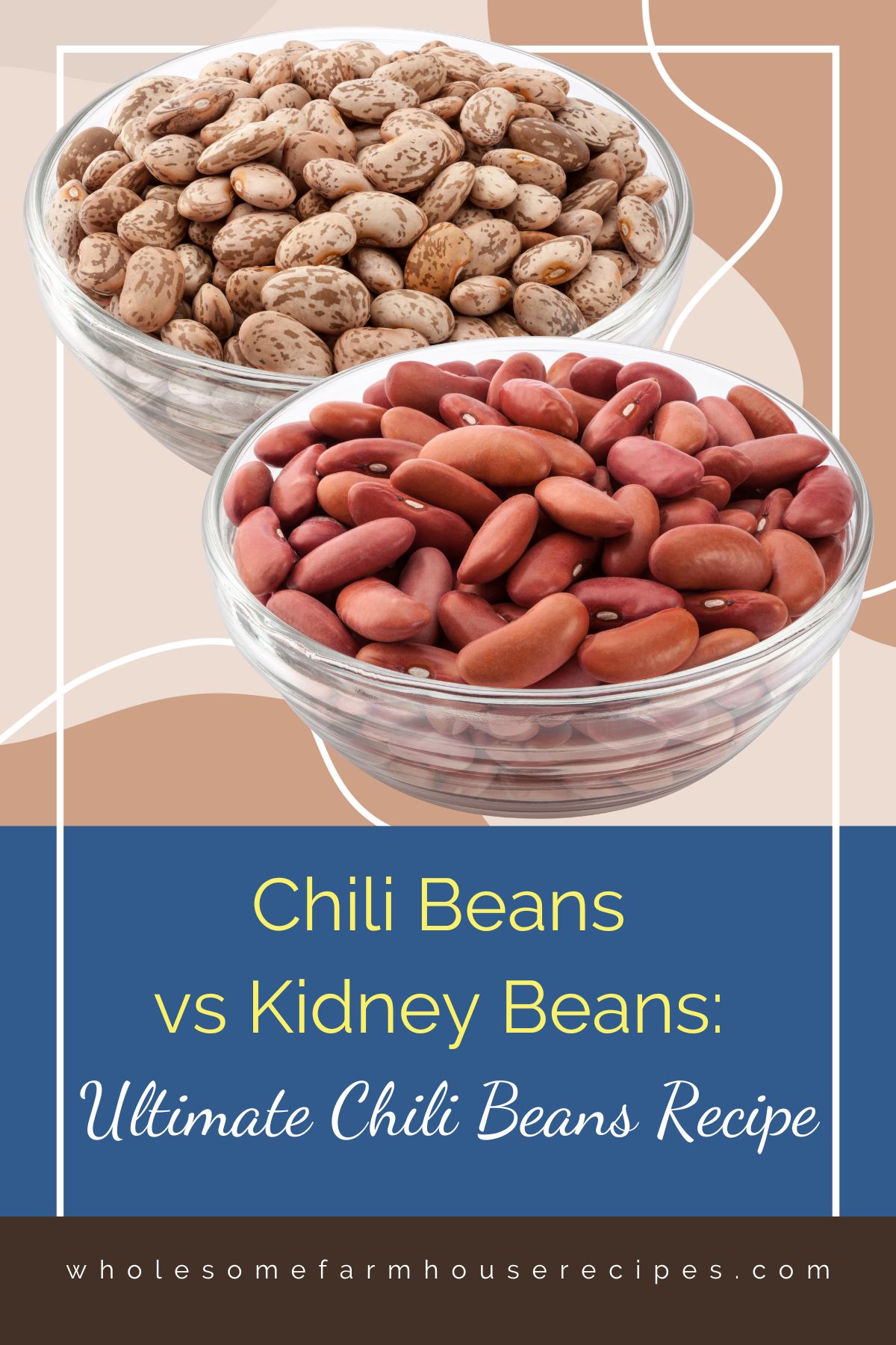Chili Beans vs Kidney Beans Ultimate Chili Beans Recipe