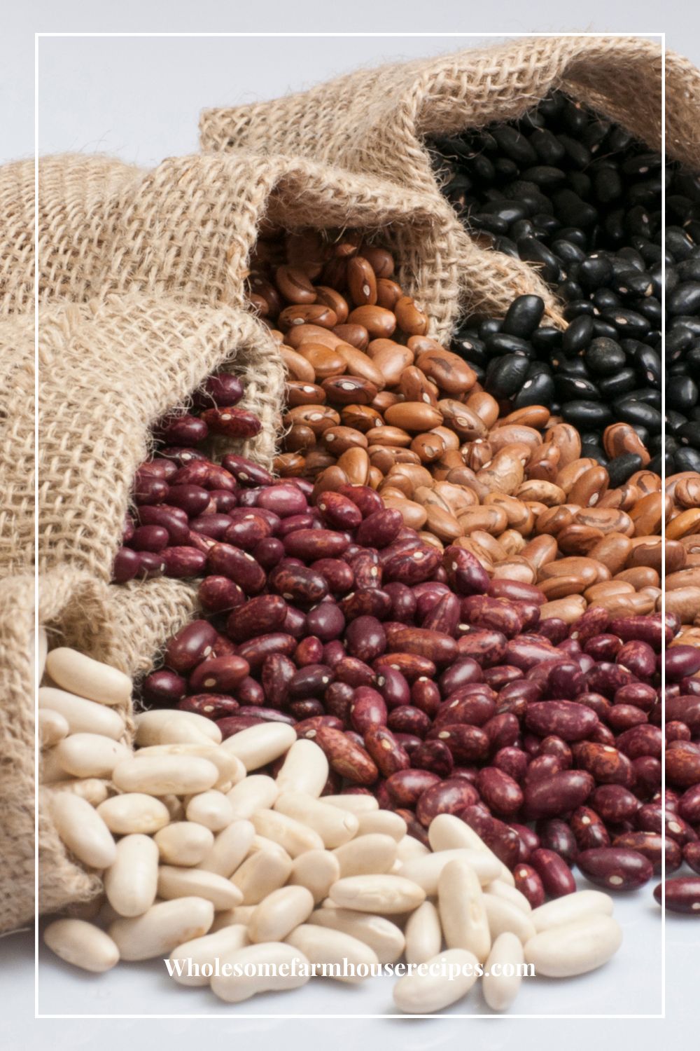Different Types of Dried Beans