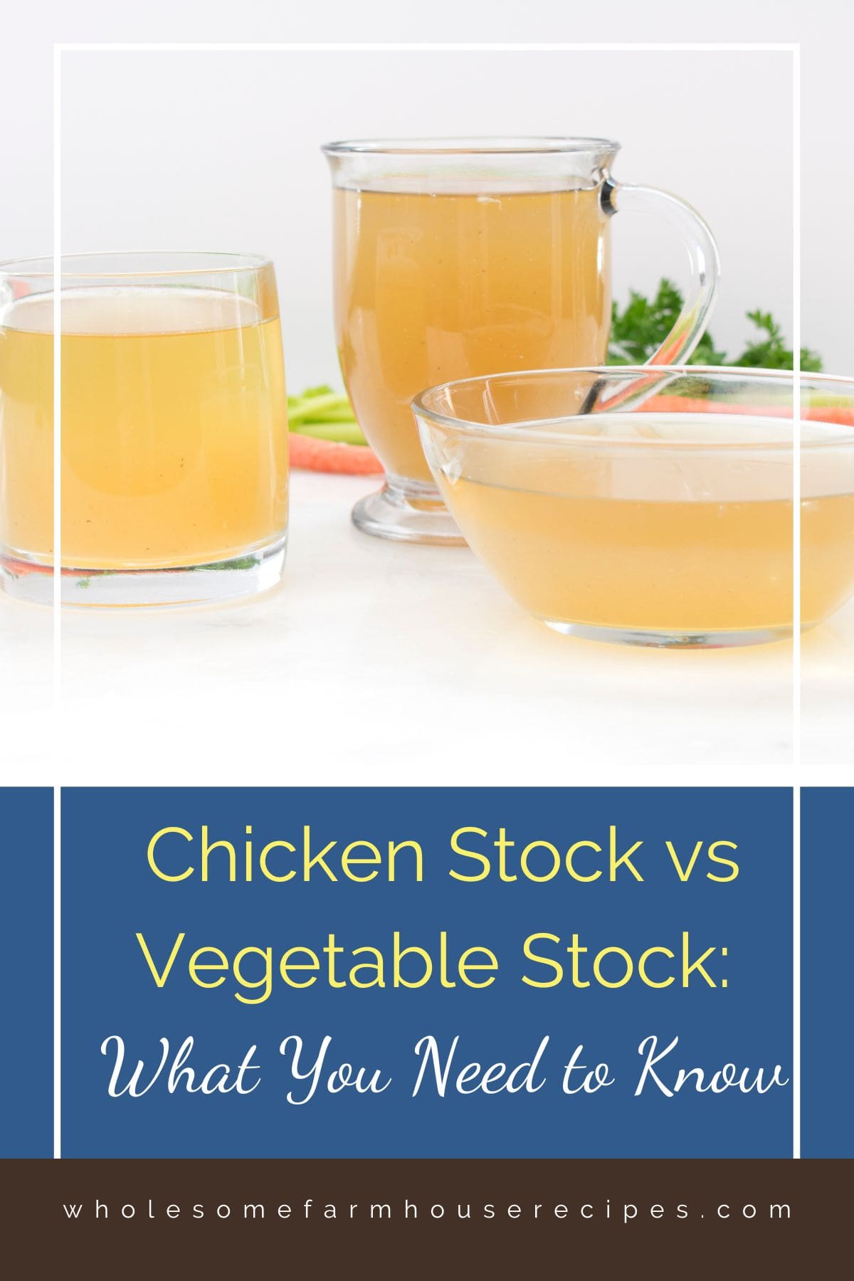 Chicken Stock vs Vegetable Stock What You Need to Know Wholesome