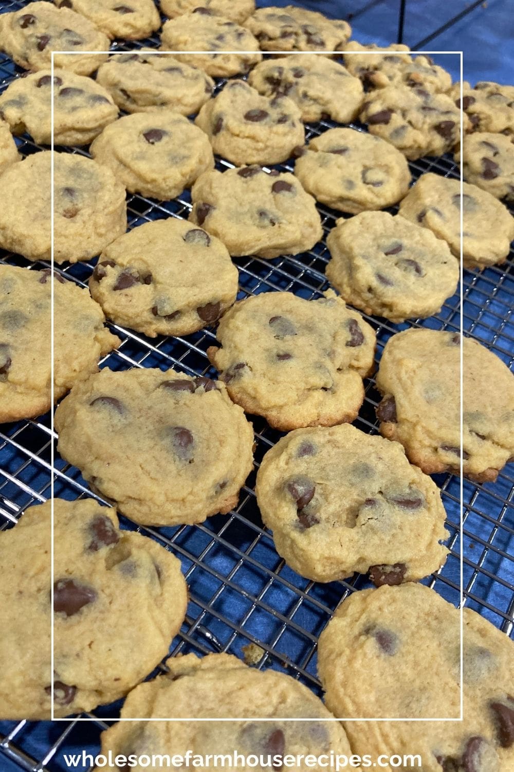 Cooling Cookies on Wire Rack