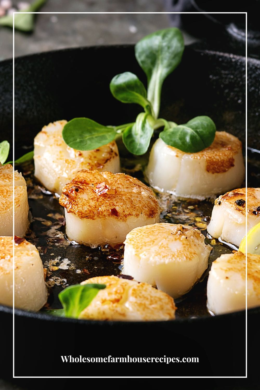 Mastering How to Reheat Scallops the Right Way - Wholesome Farmhouse ...