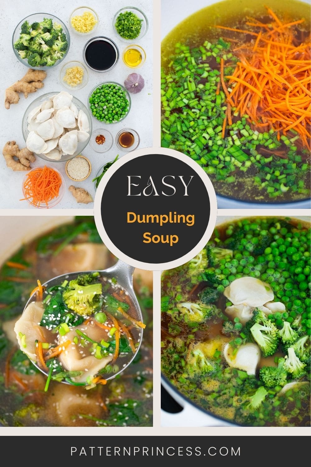 Easy Dumpling Soup