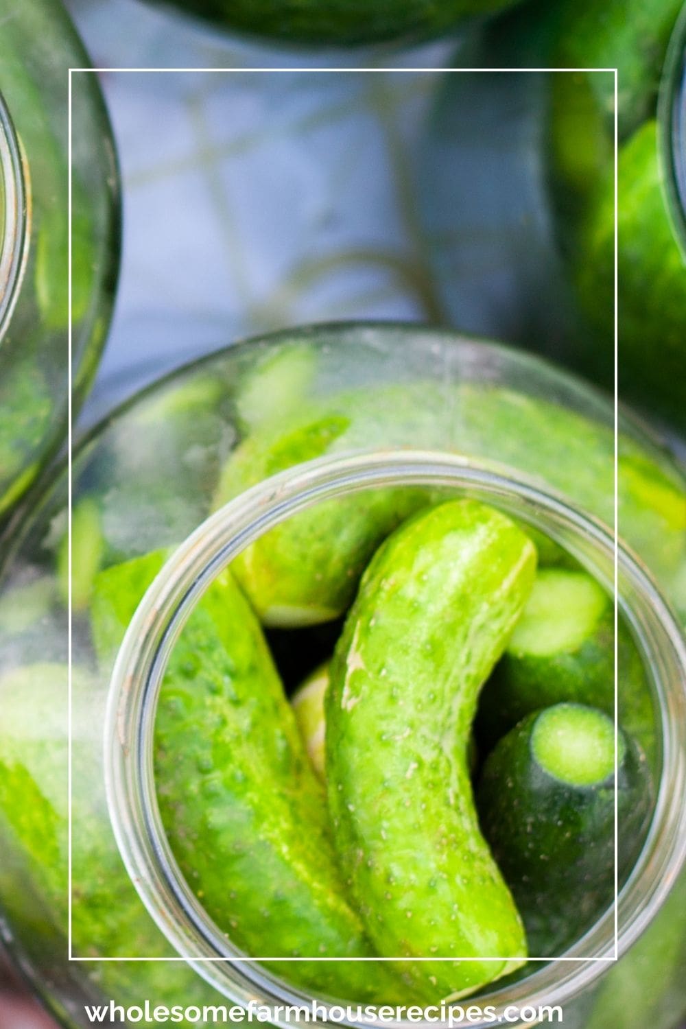 Packing Cucumbers into jars