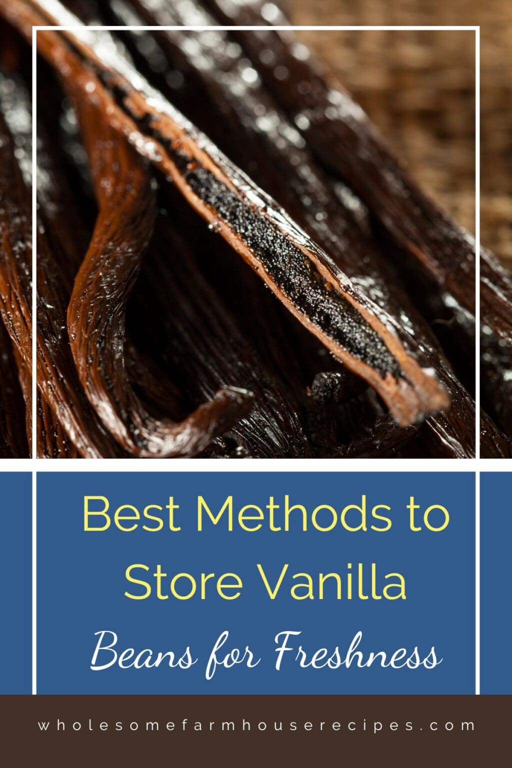 Best Methods to Store Vanilla Beans for Freshness Wholesome Farmhouse