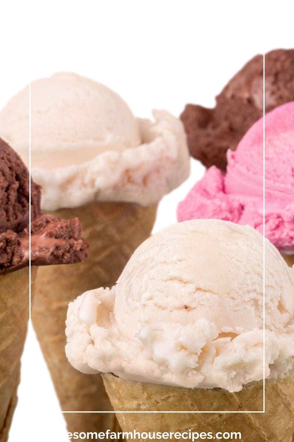 Decadent Delight French Vanilla vs. Vanilla Bean Ice Cream Wholesome