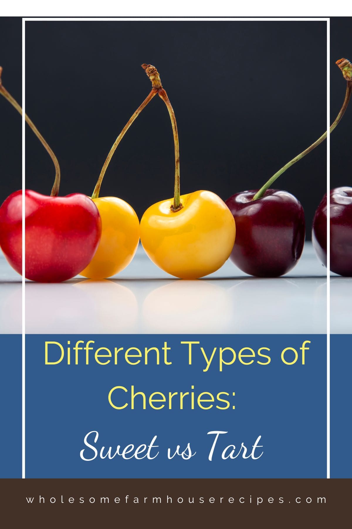 Different Types of Cherries Sweet vs Tart