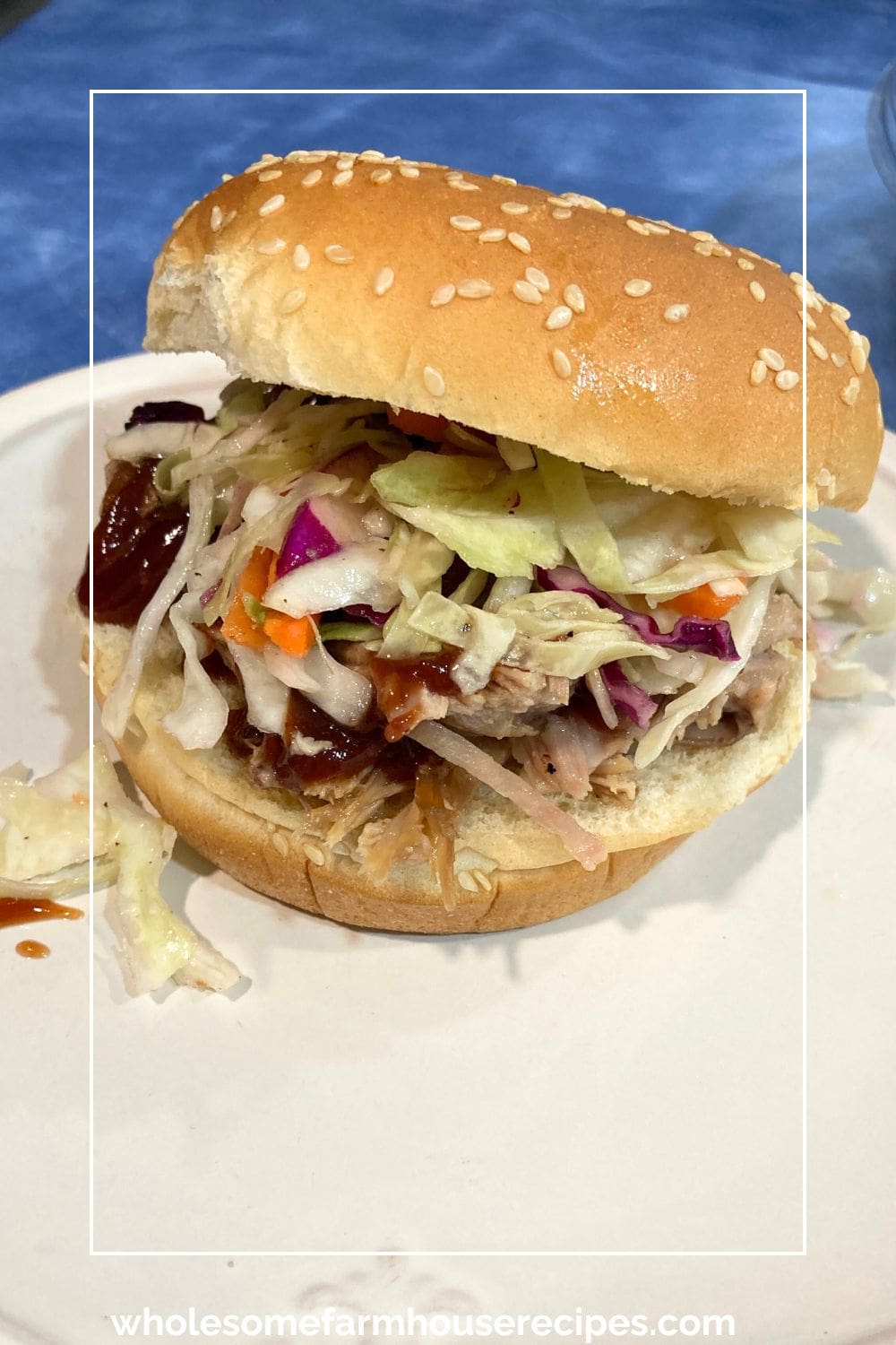 Coleslaw and BBQ Pork Sandwich