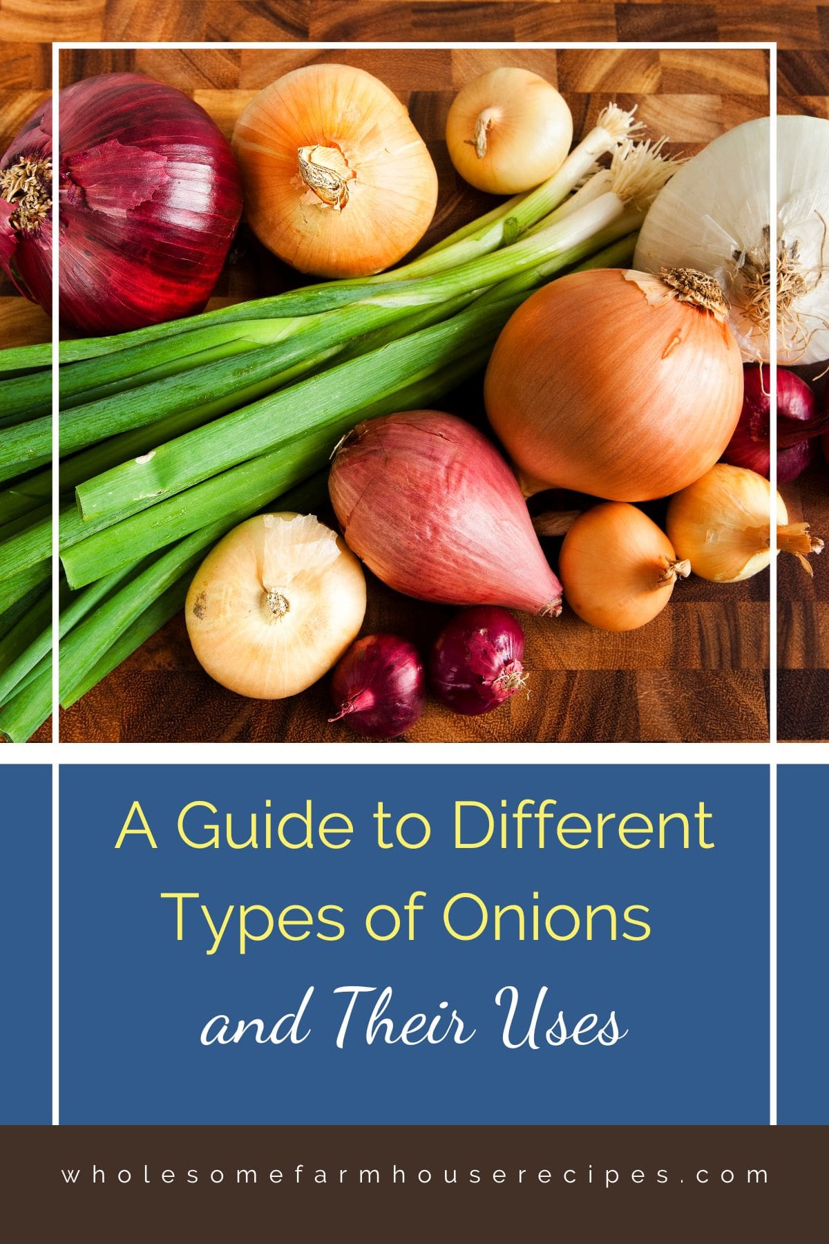 A Guide to Different Types of Onions and Their Uses