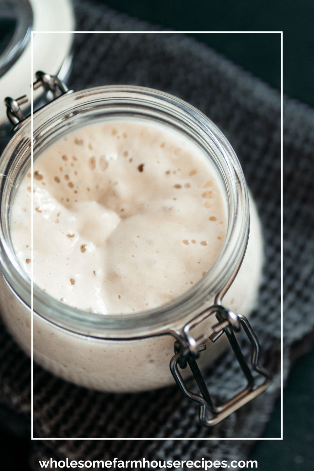 Fermenting Starter in Glass Jar