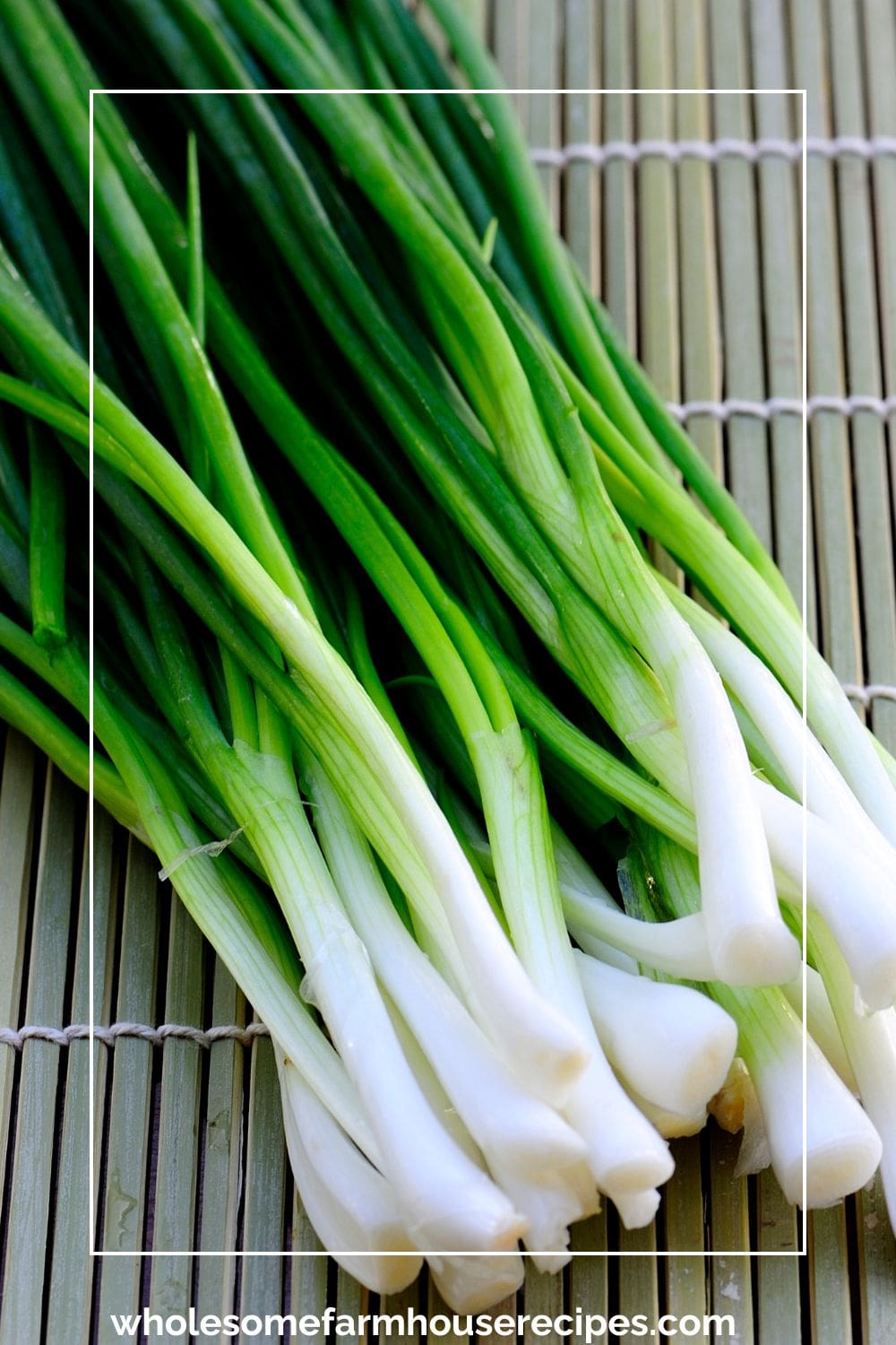 Spring Onions cleaned and ready for eating