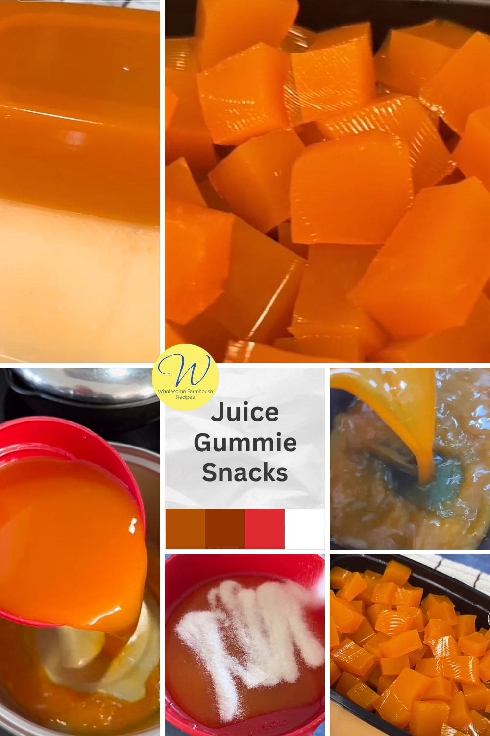 Making Juice Gummie Snacks