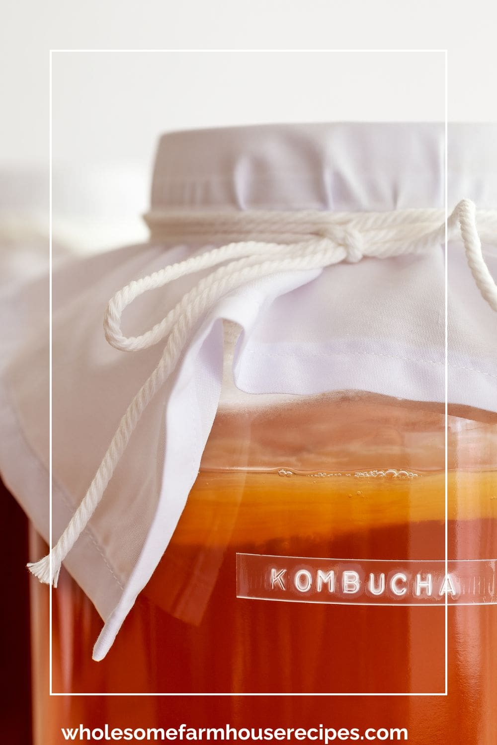 Making Primary Kombucha