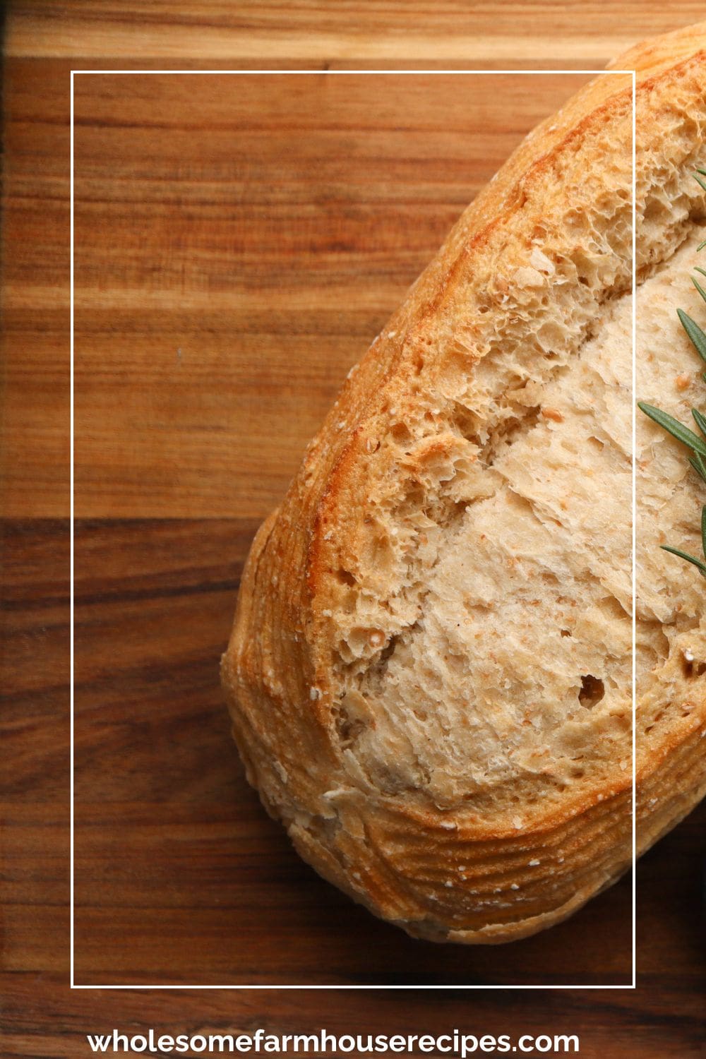 Soft Sourdough bread