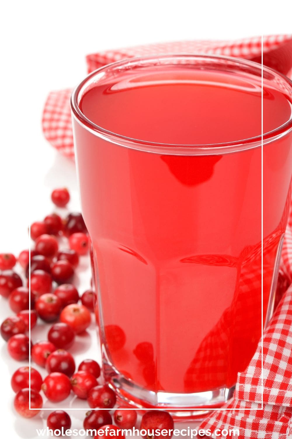 Homemade Cranberry Juice in a Glass